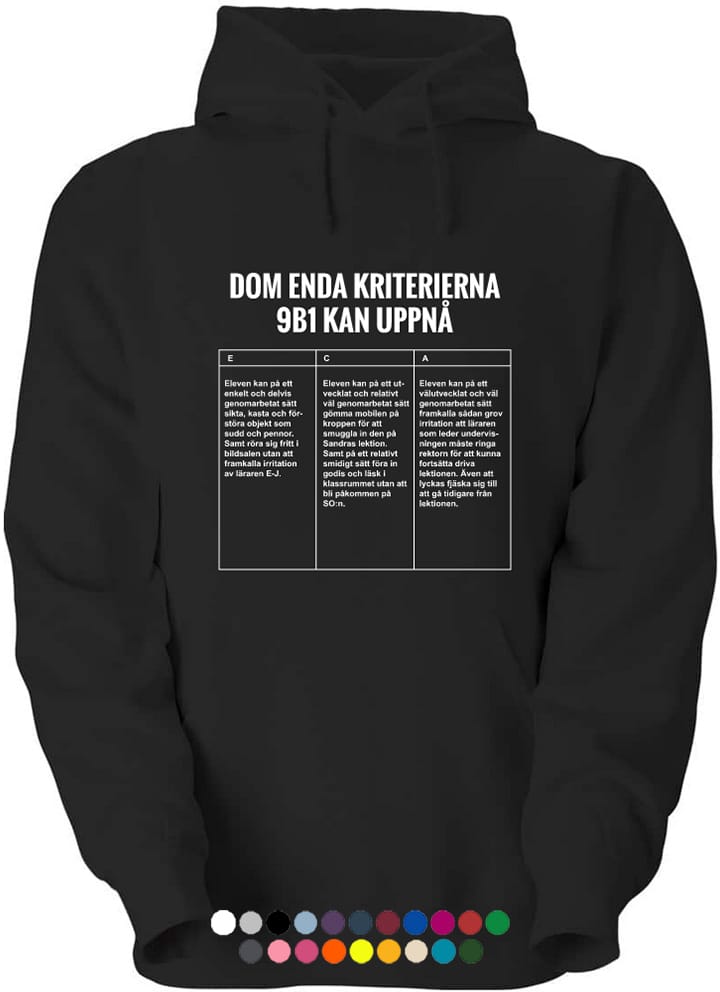 ROLIGA CITAT TILL KLASSTRÖJOR